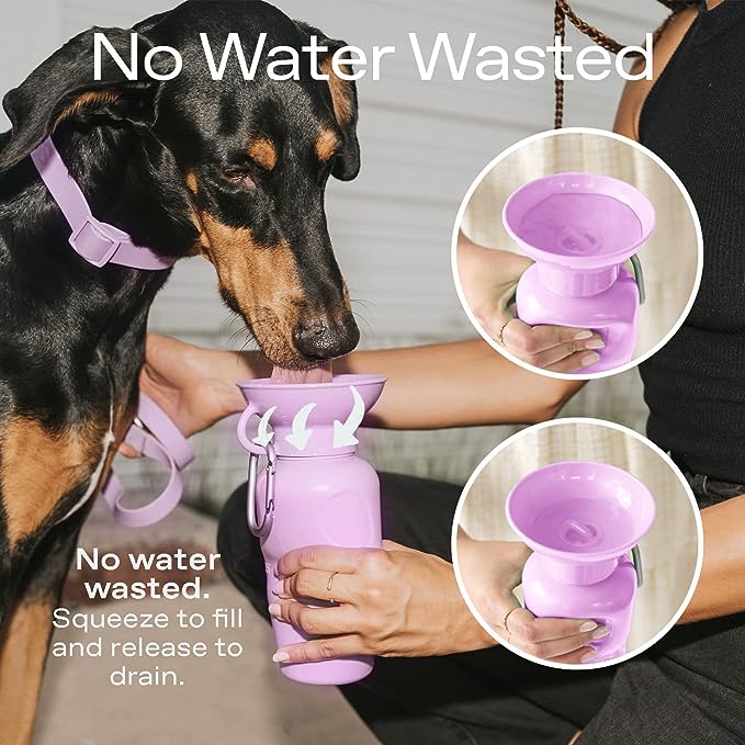 Springer Dog Water Bottle | Portable Travel Water Bottle Dispenser for Dogs - As Seen on Shark Tank | Patented, Leak-Proof Bottles Fill Bowl with Water - Ideal for Walking | BPA-Free 44oz Blue