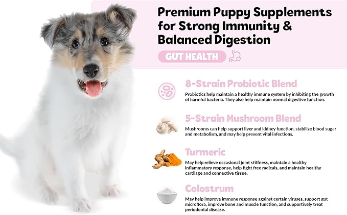 Puppy Bites by Snuggle Puppy, Gut Health, 60 Count Probiotic Supplement for Strong Immunity & Digestive Support for Puppies, Tasty Chew with Pumpkin, Mushrooms, Pectin, Dandelion & More