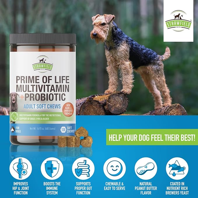 Strawfield Pets Dog Multivitamin + Dog Probiotics Soft Chews | Glucosamine Chondroitin, Probiotics, Omega 3 | Dog Supplements & Vitamins | Dog Health Supplies | 120 Grain Free Chews, USA