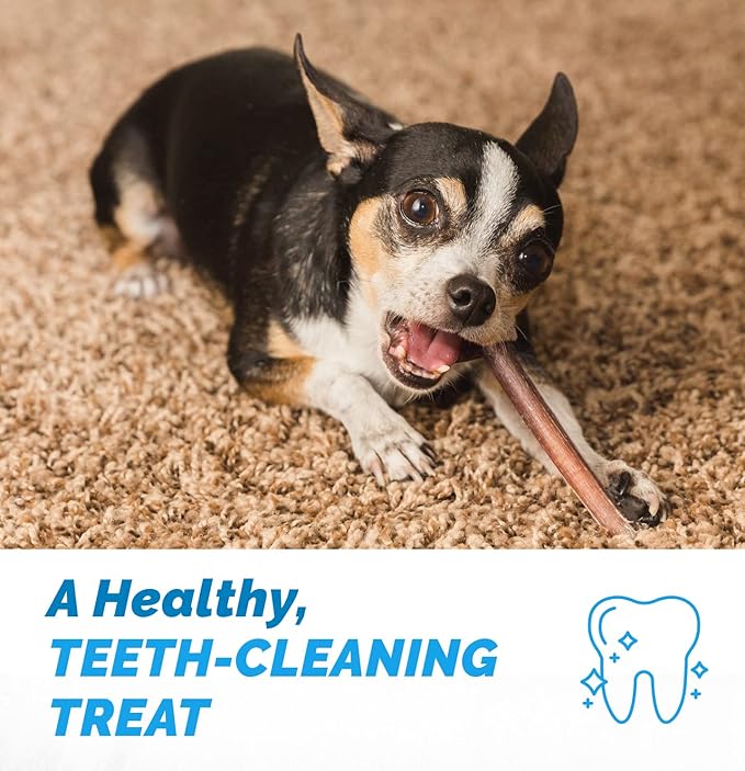 6 Inch Bully Sticks for Dogs (1 Pound Bag) 100% Natural Chews for Dogs & Puppies - Grass-Fed Free-Range Premium Beef Dog Chews - Bulk Dog Sticks Chew Dental Treats