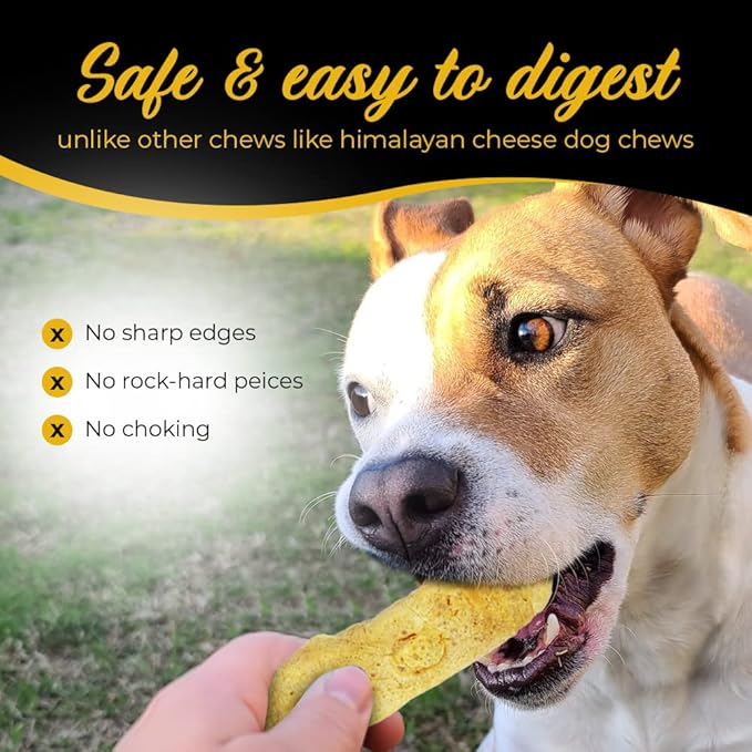 Cheese Dog Chews|US-Crafted for Puppies & Dogs |Softer Natural Alternative to Himalayan Dog Chews & Yak Chews| Salt & Rawhide-Free| Tastier than Yak Chews (6 Large Sticks)
