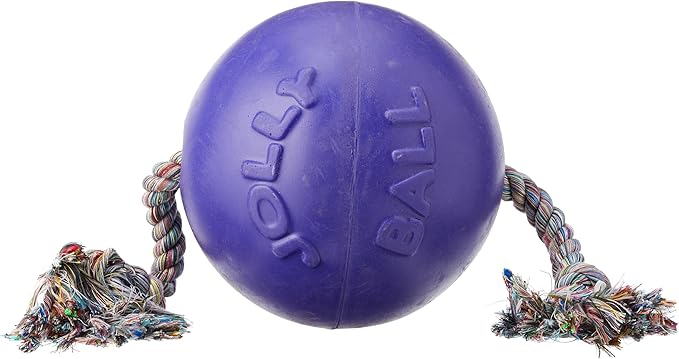 Jolly Pets Romp-n-Roll Rope and Ball Dog Toy, 8 Inches/Large, Purple, Large Breeds