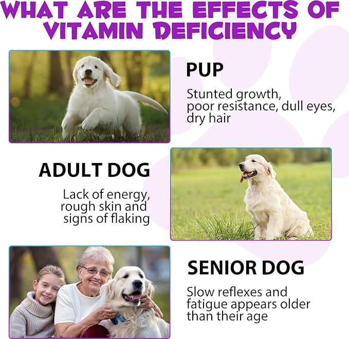 15 in 1 Dog Multivitamin Drops for Dogs - Dog Vitamins & Supplements Natural Dog Multivitamins and Minerals - Glucosamine, MSM for Skin & Coat, Heart Health, Bones, Joint, Immune System Support