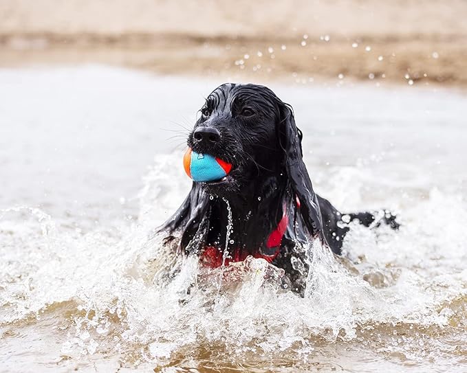 Chuckit! Amphibious Fetch Balls (Set of 3) Ultra Ball Dog Toy, Medium (2.5 Inch Diameter) Pack of 2