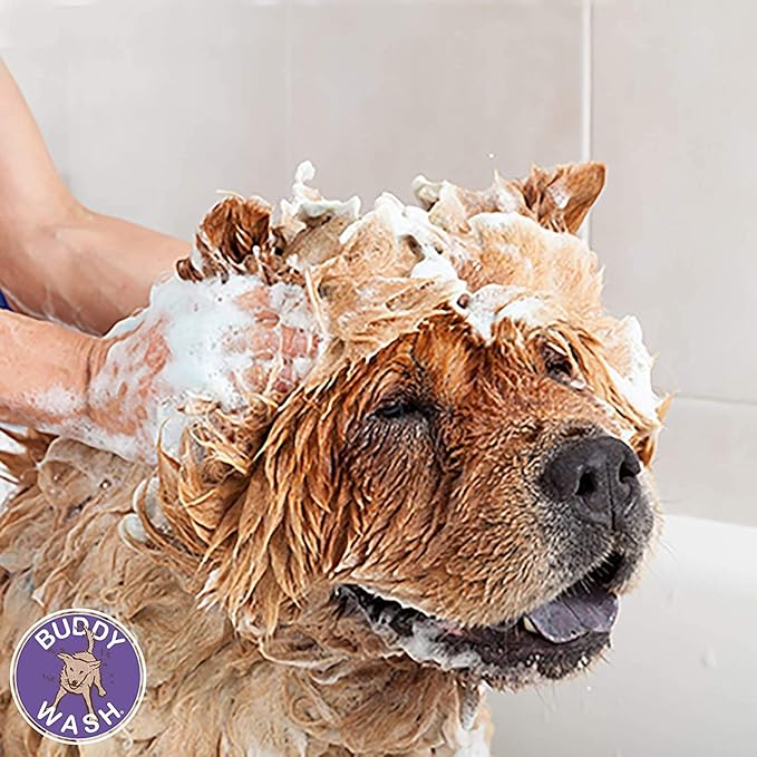 Buddy Wash Cloud Star Dog Shampoo & Conditioner Gallon for Dogs with Botanical Extracts and Aloe Vera with Dispenser Pump and 10ct Pet Wipes