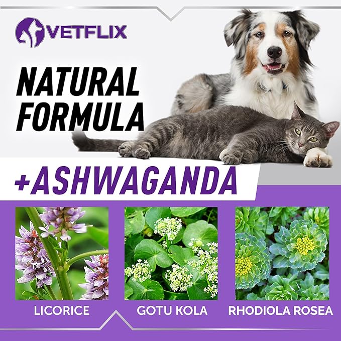 Pet Kidney Support for Dogs & Cats - Made in USA - Cushings Treatment for Dogs - Cat & Dog Supplement for Suprarenal Gland Support