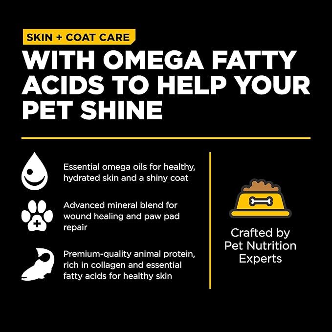 Bundle of Go! Solutions Skin + Coat Care - Dry Dog Food for Puppy, 12lb and Go! Solutions Skin + Coat Care - Dry Dog Food for Adult, 25lb