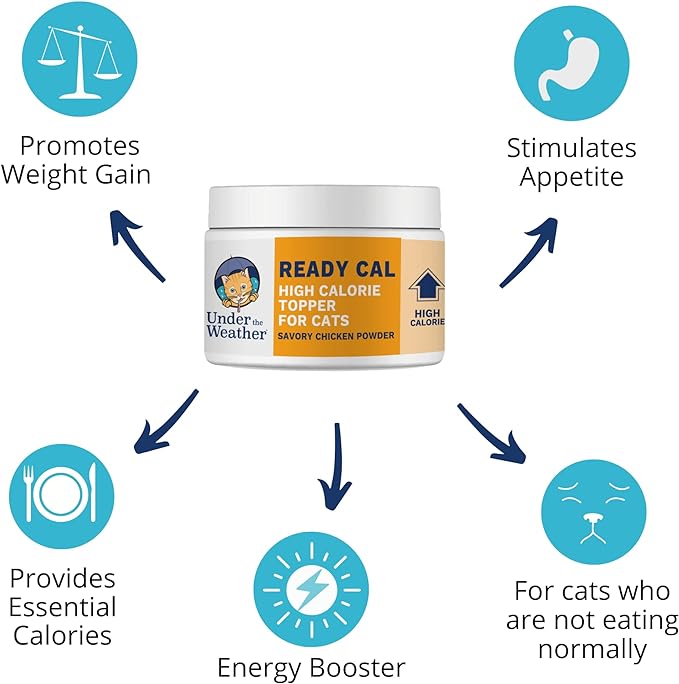 Under the Weather Ready Cal Powder for Cats | High-Calorie, Weight Gainer, Appetite Stimulant, Energy Booster Pet Supplement | 8 Ounces