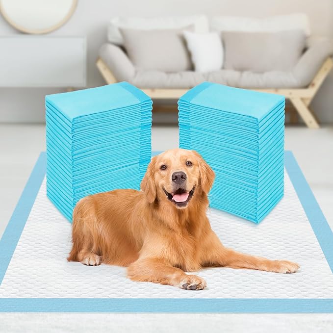 Sted Dog Pee Pads Extra Large 28"x34", Thicken 6 Layers Pee Pads for Dogs, Quickly Absorbs & Leak-Proof Dog Pads, Disposable Puppy Pads Pet Training Pads Potty Pads for Dogs, Doggie Pee Pads, 60Ct