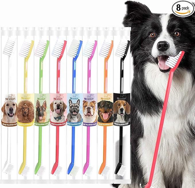 VibrantPet Toothbrush Set - 8-Pack with Dual-Head Design, Transparent Tube Packaging for Convenient Storage and Travel | Enhance Pet Dental Care