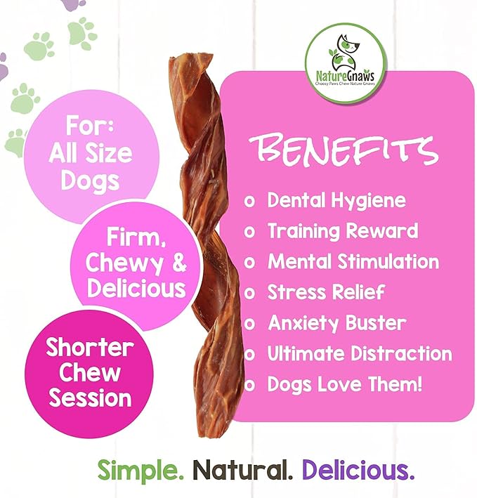 Nature Gnaws - Beef Jerky Springs for Dogs - Premium Natural Beef Gullet Sticks - Simple Single Ingredient Tasty Dog Chew Treats - Rawhide Free 7-8 Inch