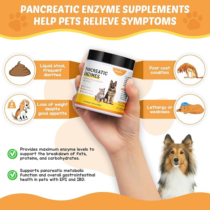 8.8 Ounces Pancreatic Enzymes for Dogs | 10x Pancreatin Formula |Dog Digestive Enzymes for EPI Pets | Support Digestive Stress, Pancreatic Concerns, and Healthy Weight Management