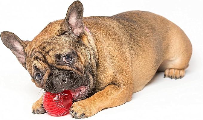 Pet Qwerks Blinky Babble Ball - Flashing Interactive Chew Dog Toy - Medium