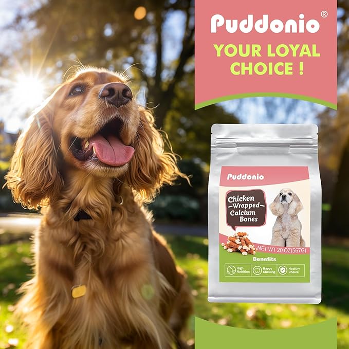 Dog Treats, 2.3 Inch Chicken Wrapped Calcium Bones, Rawhide Free Dog Chews Natural and Chewy Dog Treats, Dog Training Snacks for Small Dogs, 20 oz