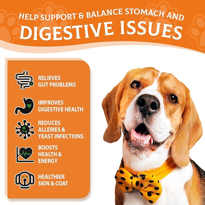 Probiotics for Dogs - Probiotic Powder for Dogs, Dog Probiotics for Immune and Digestive Health -120 Scoops Liver Flavored Probiotic supplement
