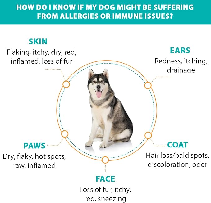 RestoraPet Allergy, Itch & Immune Soft Chews - Natural Supplement for Dogs - Support Immunity, Soothe Skin Irritation, Improve Coat Quality – with Lactoferrin, Colostrum & Omega 3-60 Bacon Chewables