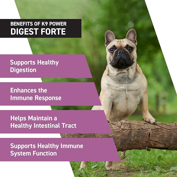 K9 Power Digest Forte - Premium Digestion & Immunity Supplement: Dog Digestive Support, Dog Probiotic Powder, Dog Probiotic Supplement to Improve Digestion and Nutrient Absorption, 1lb
