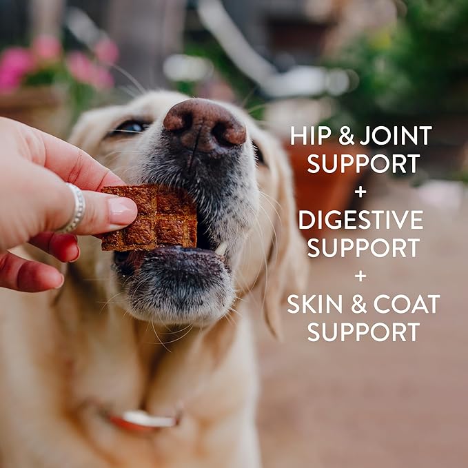 Shameless Pets Jerky Dog Treats, Variety 3-Pack - Healthy Chews with Chicken, Beef & Duck for Dogs - Dog Treats with Real Ingredients - Free from Grain, Corn & Soy