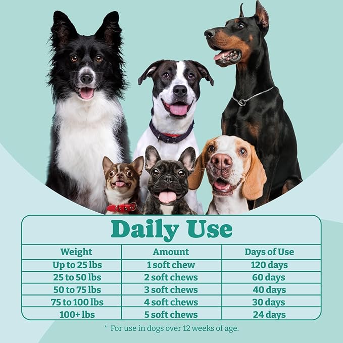 Probiotics for Dogs, Dog Probiotics and Prebiotic with Enzymes, for Gut and Digestive Health, Support Immune System, Chicken Flavor, 120 Soft Chews