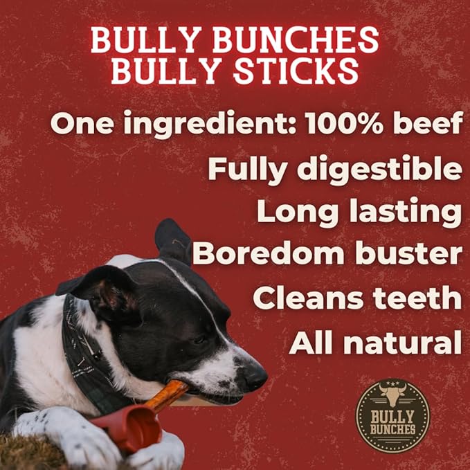 Bully Bunches Premium 6 Inch Standard Odor-Free Bully Sticks for Small to Medium Dogs & Puppies - Long Lasting Chews for Oral Care - All Natural, 100% Beef Dog Treats, Rawhide Free (20 Pk)
