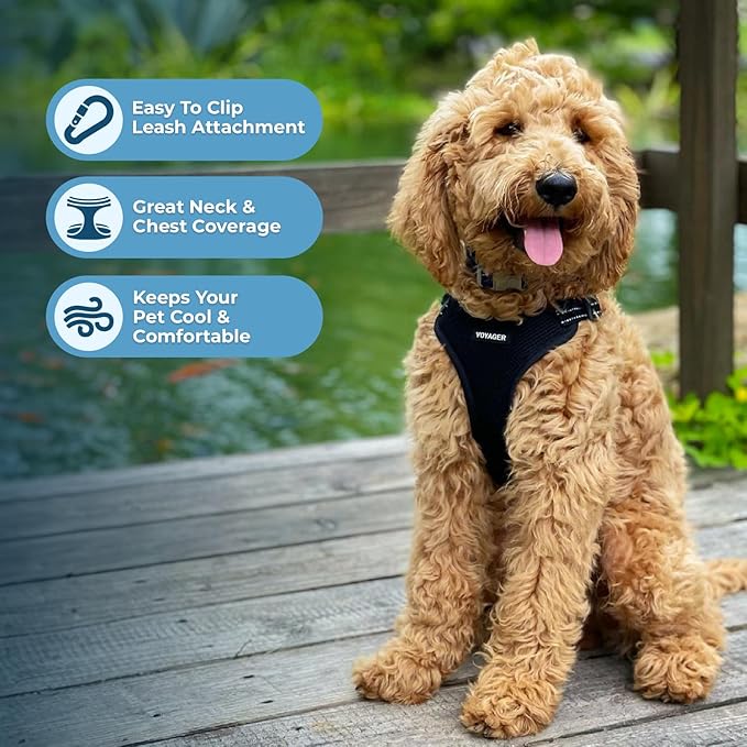 Best Pet Supplies Voyager Adjustable Dog Harness with Reflective Stripes for Walking, Jogging, Heavy-Duty Full Body No Pull Vest with Leash D-Ring, Breathable All-Weather - Harness (Black), XS