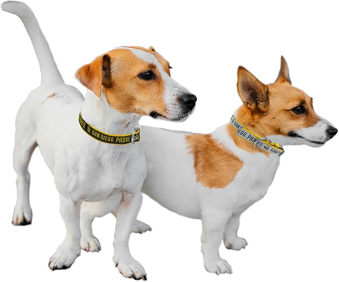 Pets First SAN Diego Padres Reversible MLB Dog Collar Medium. Premium Home & Away Two-Sided Pet Collar Metal Buckle MLB Baseball Team Unique Design on Each Side! Dogs & Cats (PAD-3280-MD)