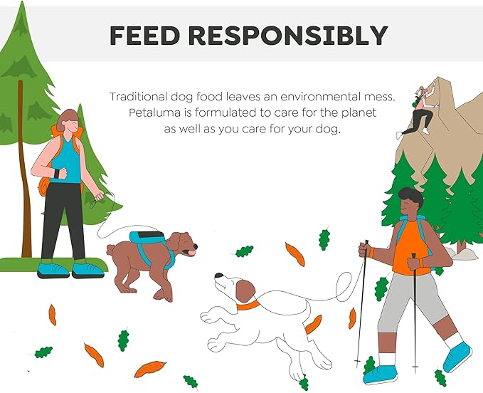 Petaluma Sweet Potato Dog Treats - Premium One-Ingredient Dog Jerky, Healthy Alternative to Meat, Organic Chews for Dogs, with Fiber and Beta-Carotene, Made in The USA, 12oz