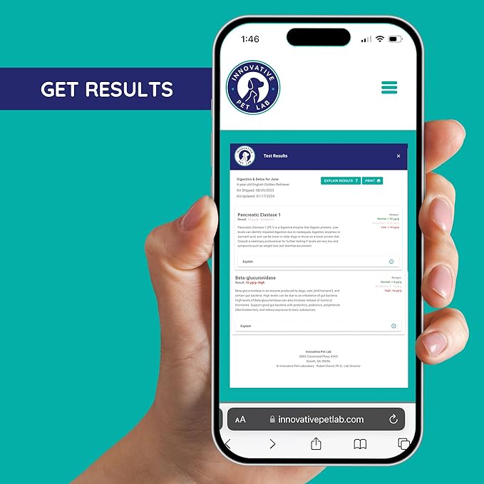 Digestion & Detox At-Home Test Kit - Expert Panel Insights for Dog's Microbiome and Digestive Health - Essential Pet Supply for Overall Wellness