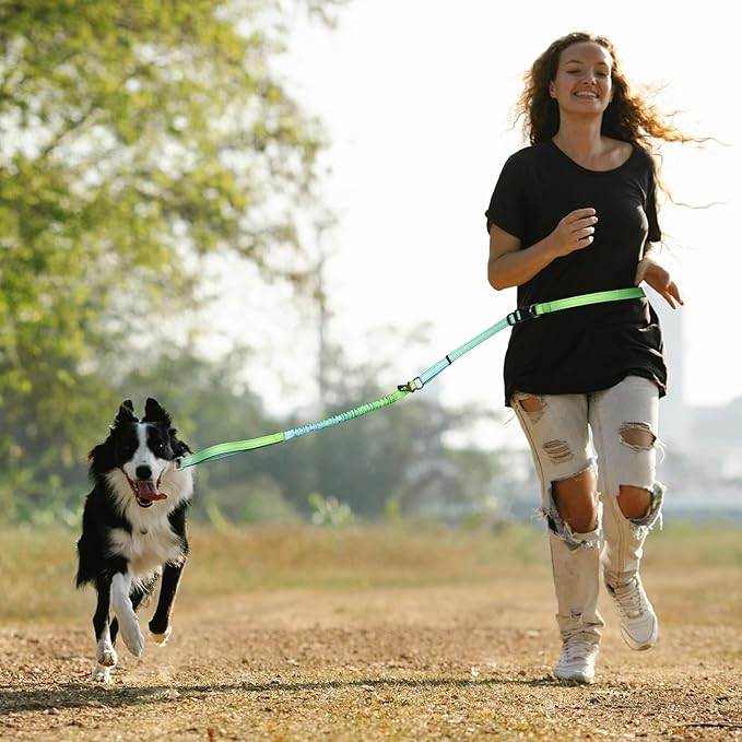 Roses&Poetry Dog Leashes for Large Dogs Heavy Duty,No Pull Bungee Dog Running Waist Leash for Walking Training with Car Seatbelt 4-6FT