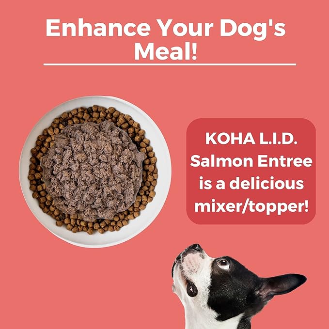 KOHA Limited Ingredient Diet Salmon Entrée for Dogs - Dog Food Toppers for Picky Eaters - Sensitive Stomach Canned Dog Food - Pate Dog Food - 13 oz Pack of 12