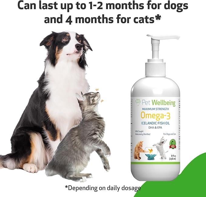 Pet Wellbeing Omega-3 Daily EFA Fish Oil for Dogs & Cats - Healthy Skin, Coat, Mobility, Joints, Heart Health - EPA, DHA - 8 fl oz (236 ml)
