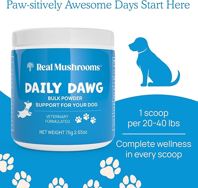 Daily Dawg Mushroom Extract Powder Support - (2.65 oz) Bulk Mushroom Powder Supplement & Dog Vitamins with Real Mushrooms Lion's Mane, Cordyceps Mushroom, Turkey Tail, Reishi & Shiitake