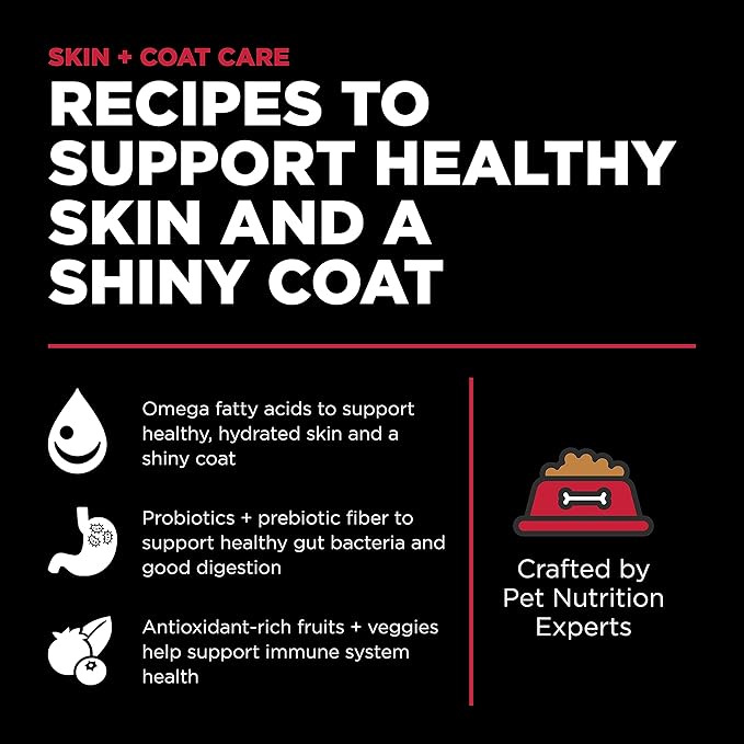 GO! SOLUTIONS Skin + Coat Care - Dry Dog Food, 12 lb - Lamb Recipe with Grains for All Life Stages - Complete + Balanced Nutrition for Dogs