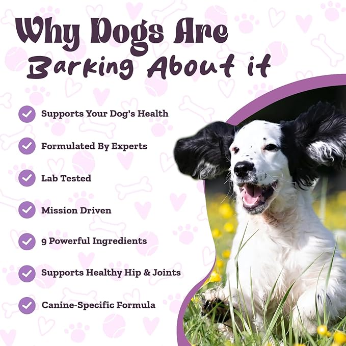 PAWZ Hip & Joint Supplement Powder for Dogs - 90 Scoops Brisket Flavor - Joint Mobility & Flexibility - Mussel, Glucosamine, Chondroitin, Msm, Vitamin E with Natural Flavors - Suitable for All Dogs