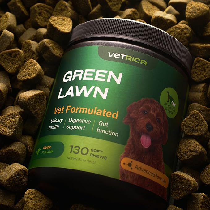 Dog Urine Neutralizer for Lawn - Grass Burn Spot Chews for Dogs - Dog Pee Lawn Spot Saver Caused by Dog Urine - Digestive Health Support Soft Chews - Grass Treatment Rocks - Grass Savers for Dog Urine