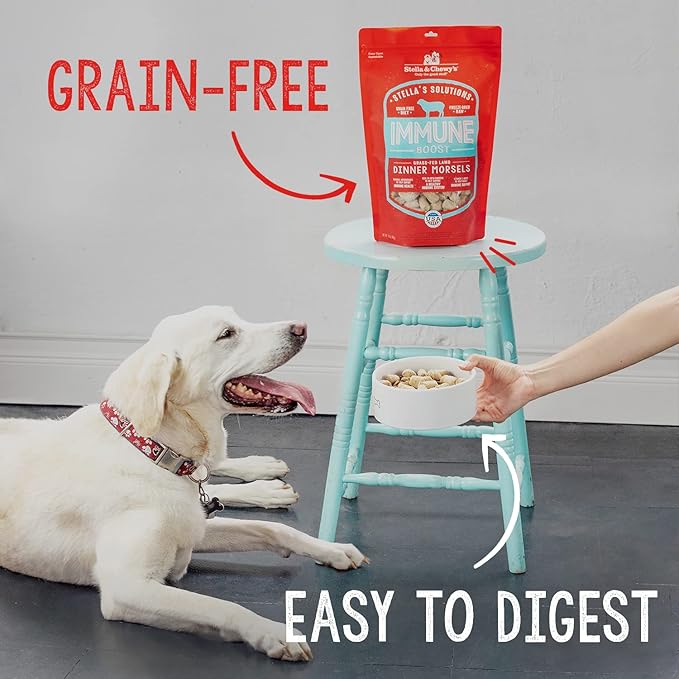 Stella & Chewy's Stella's Solutions Skin & Coat Boost Grass-Fed Lamb & Wild-Caught Salmon Dinner Morsels Freeze-Dried Raw Dog Food, 13 oz (SOL-FDLSSC-13)