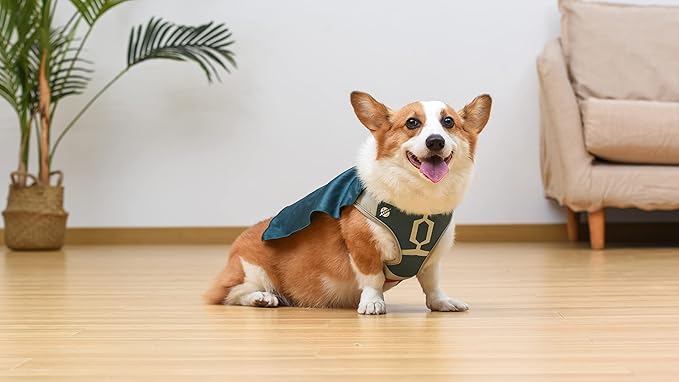 STAR WARS for Pets Boba Fett Dog Harness with Cape, Large (L) | Large Dog Boba Fett Harness for Dogs | Pet Harness, Harness for Large Dogs, Green, (FF19561)