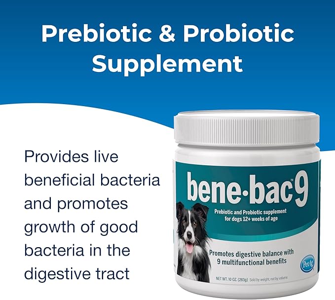 Pet-Ag Bene-Bac 9-10 oz Powder - Prebiotic and Probiotic Supplement for Dogs 12 Weeks and Older - Provides Nine Multifunctional Benefits