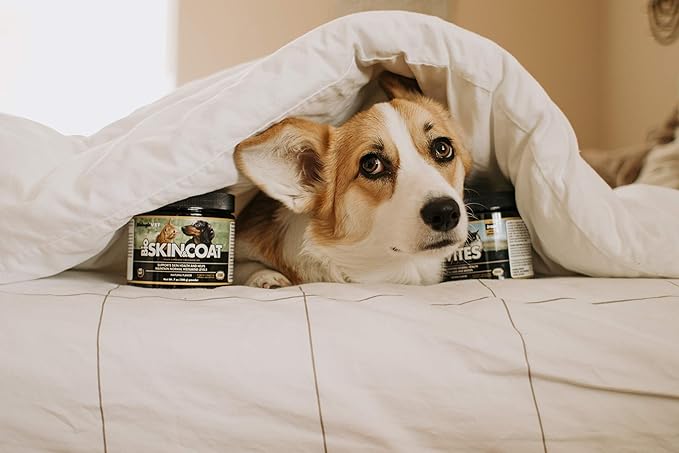 BioSKIN & Coat Natural Antihistamine Supplement for Dogs & Cats, Supports Skin Health and Helps Maintain Normal Histamine Levels, 53-Day Supply for 30-lb. Animal, 14-oz. Powder