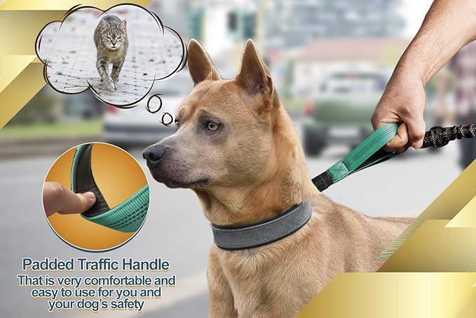 SparklyPets Hands Free Dog Leash for Medium and Large Dogs – Professional Harness with Reflective Stitches for Training, Walking, Jogging and Running Your Pet (Premium Teal, for 1 Dog)