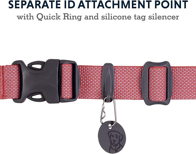 Ruffwear, Hi & Light Dog Collar, Minimal and Ultralight Collar for Everyday Walks and Runs, Salmon Pink, 11"-14"