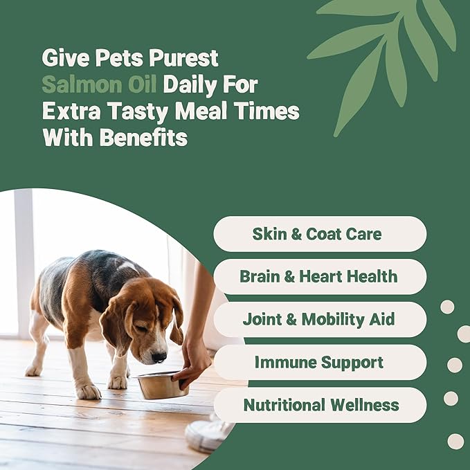 Salmon Oil for Dogs, Cats, Horses, Ferrets & Pets - 32 Fl Oz 100% Pure Premium Food Grade - Natural Omega 3, 6 & 9 Supplement - Promotes Coat, Skin, Joint and Brain Health