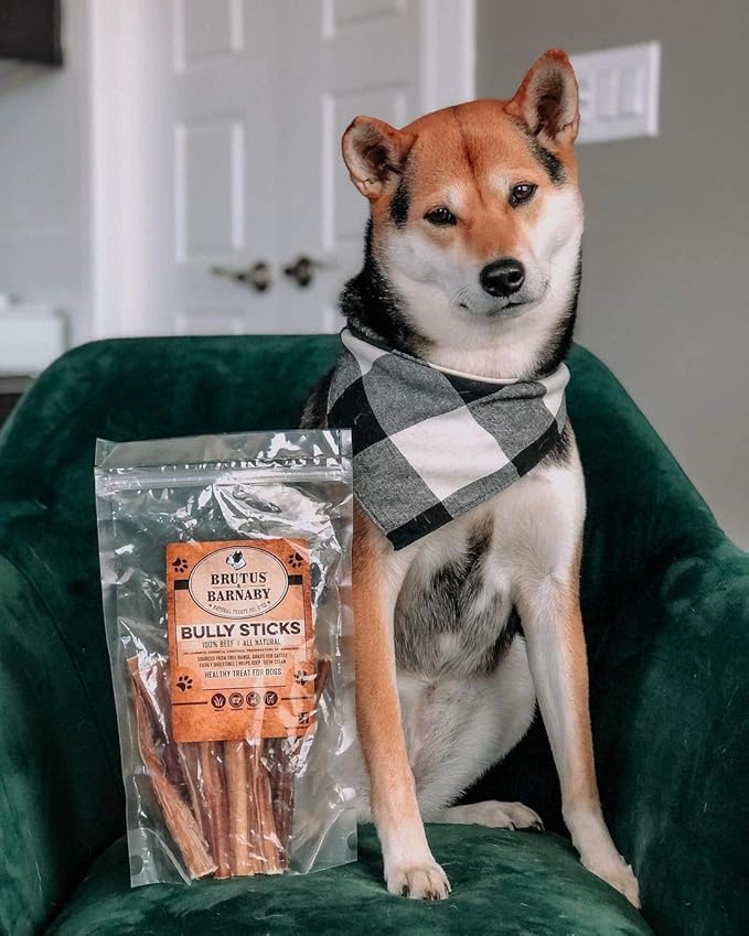 BRUTUS & BARNABY Grass Fed Bully Sticks for Dogs, Fully Digestible Dog chew, Grain Free, Rawhide Free, 100% Natural Beef, Small Batched for Freshness and Low Odor