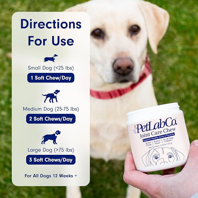 Petlab Co. Joint Care Chews - High Levels of Glucosamine for Dogs, Green Lipped Mussels, and Omega 3 - Dog Hip and Joint Supplement to Actively Support Mobility - Salmon