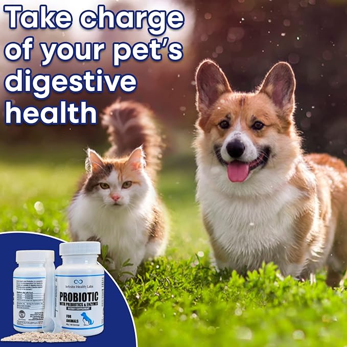 Probiotics for Dogs and Cats - Vet Formulated Pet Prebiotic & Enzyme Powder for Digestive, Gut & Immune Health - 160 Servings