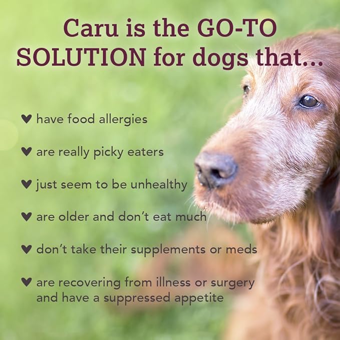 Caru - Real Turkey Stew For Dogs, Natural Adult Wet Dog Food With Added Vitamins And Minerals, Free From Grain, Wheat And Gluten (12.5 Oz)