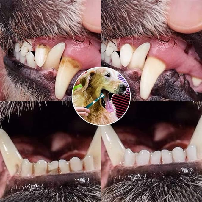 Dog Toothbrush Finger Set, Canine Toothbrush Kit for Dental Care with 3 Silicone Finger Brush - 3 Sided Pet Tooth Brush for Dogs and Cats Teeth Cleaning