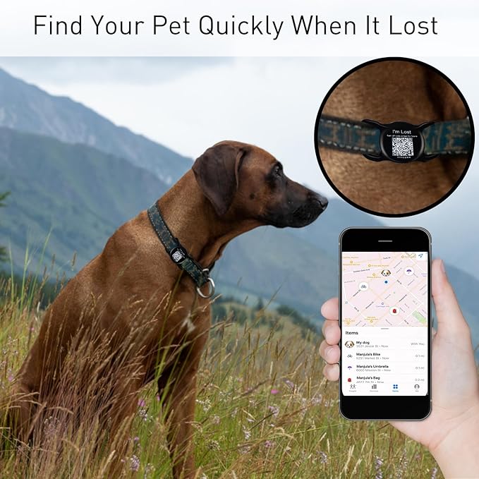 Dog Airtag Holder with QR Code Pet ID Tags,Airtag Dog Collar Holder Dog Tags Personalized Pet Online Profile for Pet Collar,Cat Dog Collar Airtag Holder Cat Dog Name Tag for Pets (Black)