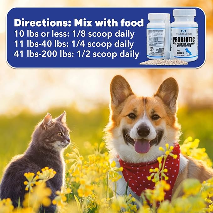 Probiotics for Dogs and Cats - Vet Formulated Pet Prebiotic & Enzyme Powder for Digestive, Gut & Immune Health - 160 Servings