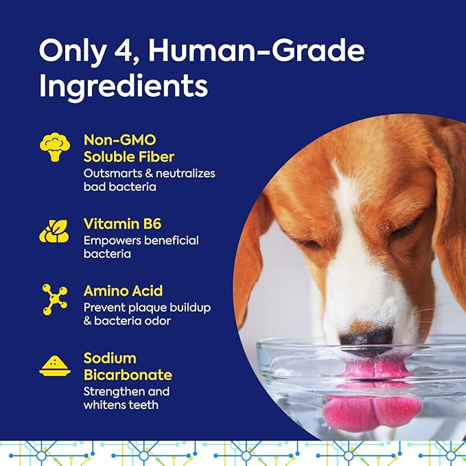 for Life Protektin42 Plant-Derived Dental Water Additive for Dogs, Daily Dental Care, Clinically-Proven Formula Naturally Fights Plaque and Tartar, Dental Kit with 90 Servings